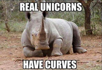 Real Unicorns Have Curves!