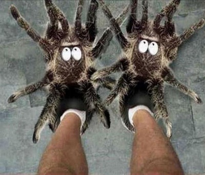 Scary Spider Slippers 