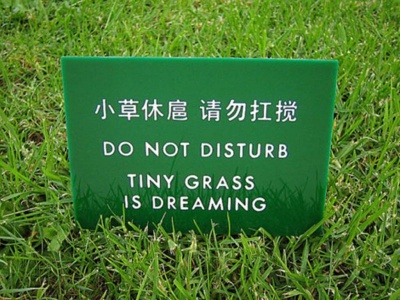 Shhhh ... The Grass Is Disturbing