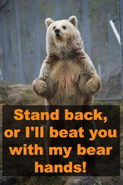 Stand Back, Or I'll Beat You With My Bear Hands