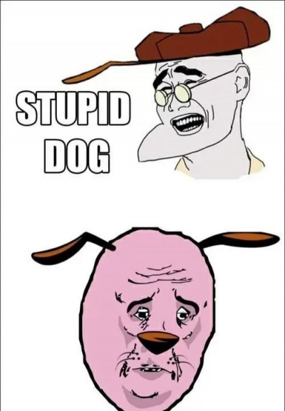 Stupid Dog!