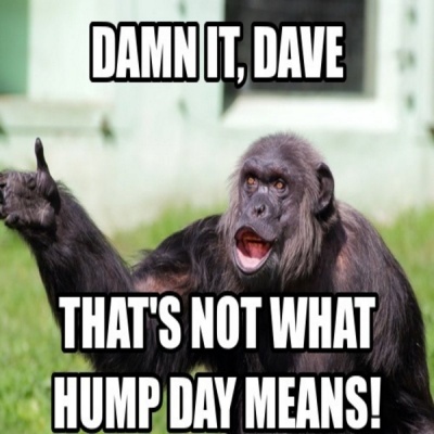 That's Not What Hump Day Means