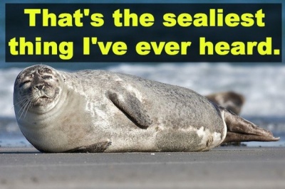 That's The Sealiest Thing I Have Ever Heard