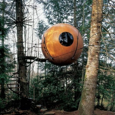 The ball tree house