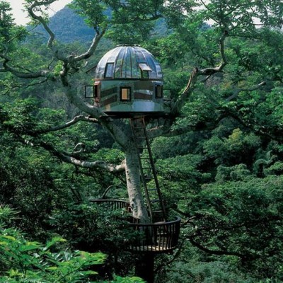 The pod tree house