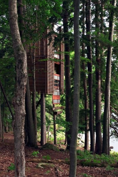 The tree house