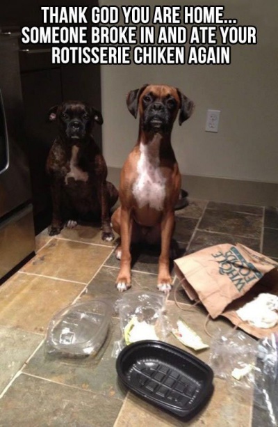 These Two Food Stealers