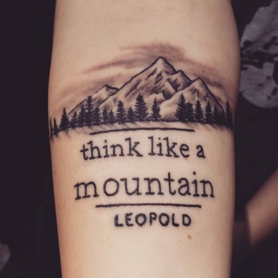 Think Like A Mountain!