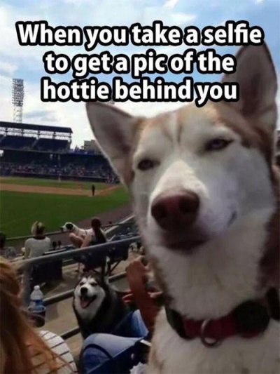 This Dog Selfie