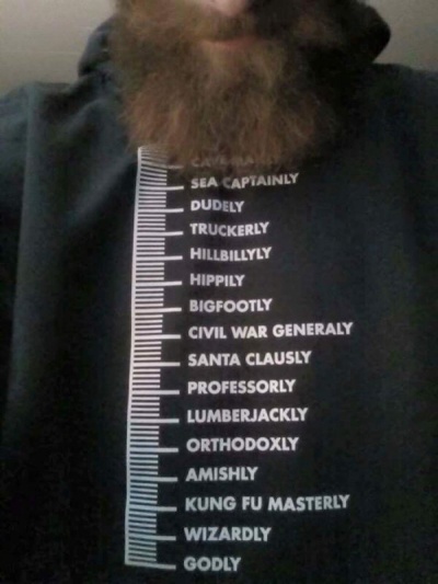 This Funny Beard Scale