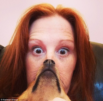 This Funny Dog Beard Picture 