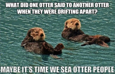 This Funny Sea Otters Joke