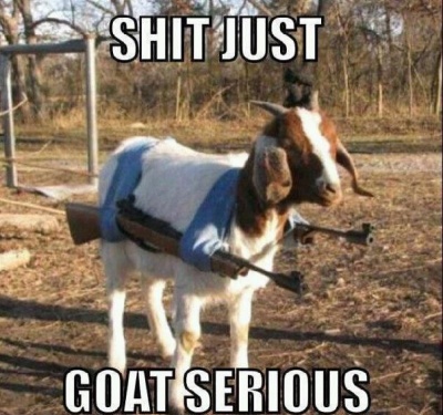 This Goat With Guns