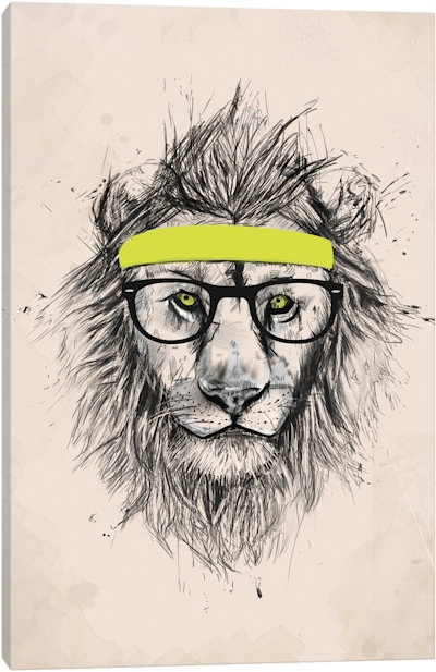 This Hipster Lion