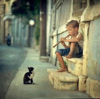 This Little Boy Playing Flute To A Cat