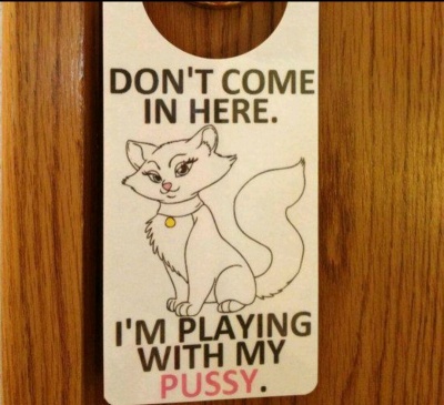 This Naughty Do Not Disturb Sign