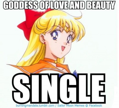 This Sailor Venus Meme