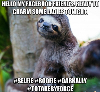 This Sloth Selfie