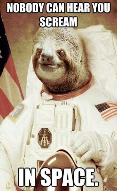 This Space Sloth