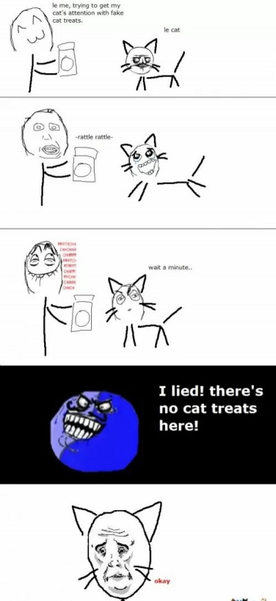 When Cat Gets Trolled! 