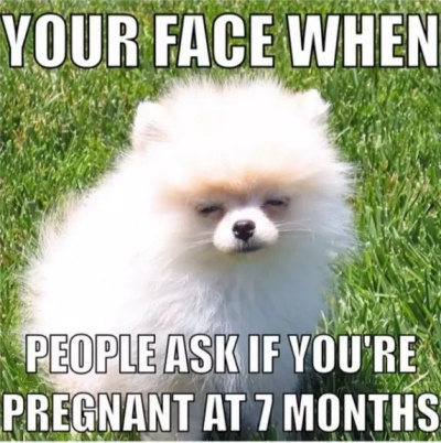 When People Ask If You Are Pregnant At 7 Months!