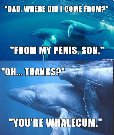 You Are Whalecum Son!