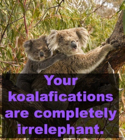 Your Koalafications Are Completely Irrelephant