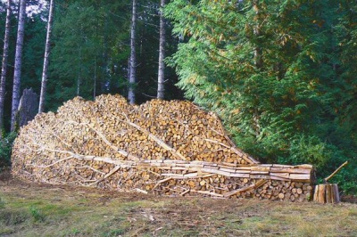 Not a Tree, But Firewood