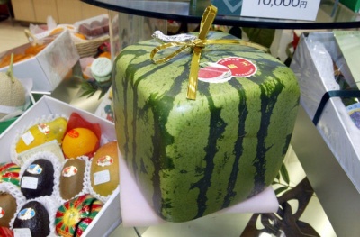 Japanese Square Watermelons