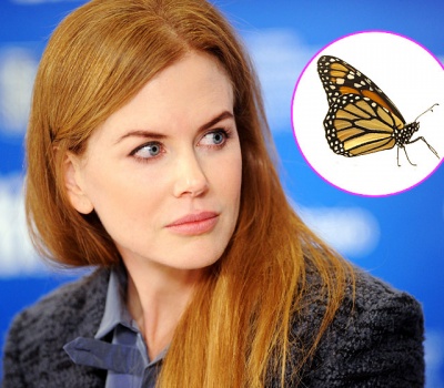 Nicole Kidman – Fear of Butterflies