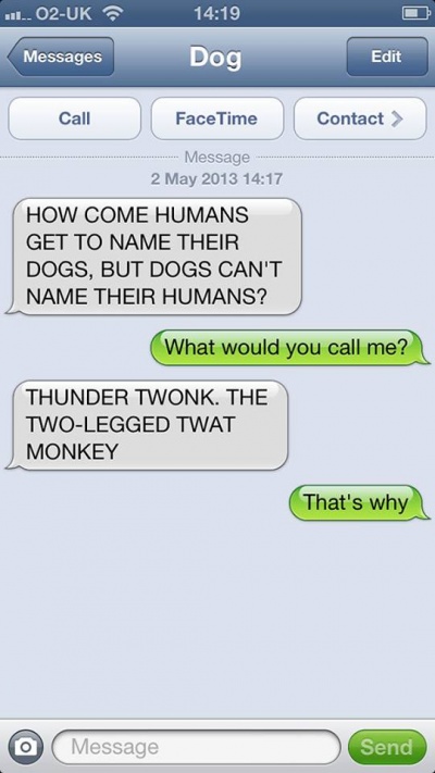 Thunder Twonk, the Two Legged Twat Monkey 