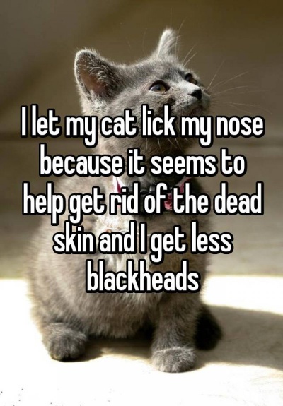 Let Your Cat Lick Your Nose to Remove Blackheads