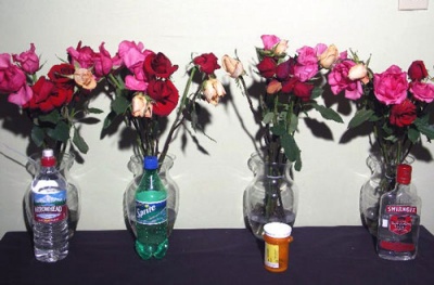 Viagra Keeps Flowers Fresh