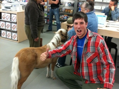 A Pony in Apple Store