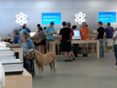 A Pony in Apple Store