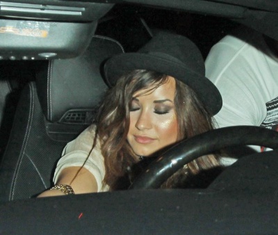 Demi Lovato Got Drunk And Threw Up In Car