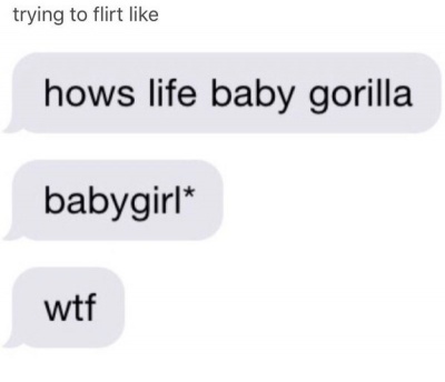 Baby Gorilla