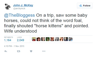 Horse Kittens