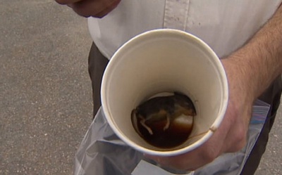 Canadian Man Finds Dead Mouse In McDonald's Coffee Cup