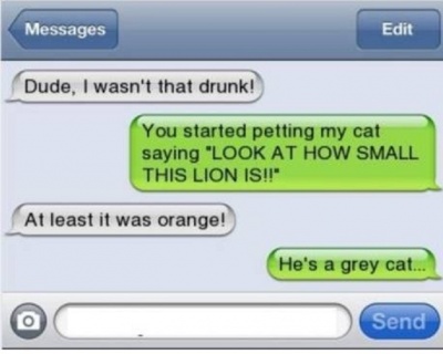 A Cat is Lion When You are Drunk