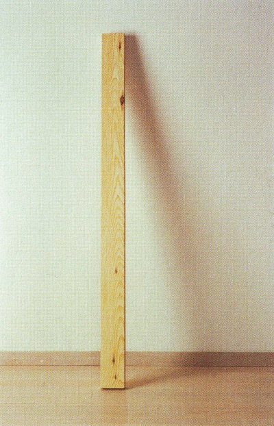 Plank of Wood