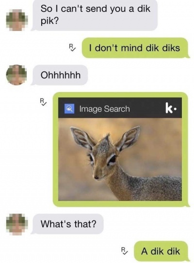 Guy Who Didn't See a Dik Dik Before