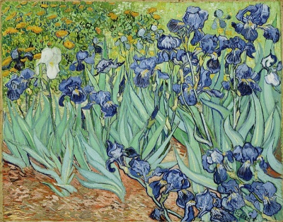 Irises, 1889, by Vincent Van Gogh ($101 Million)