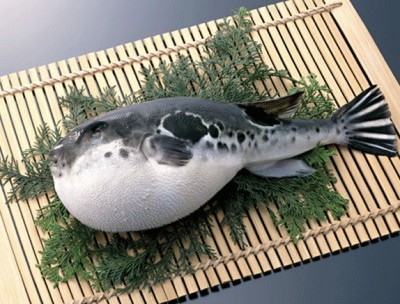 Fugu