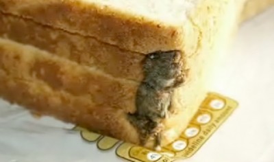dead Mouse in bread loaf.
