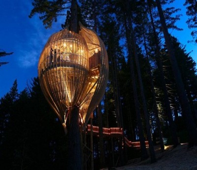 The restaurant tree house